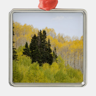 Ornement Carré Argenté États-Unis, Colorado, forêt nationale de Gunnison,