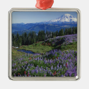 Ornement Carré Argenté États-Unis, Washington Mt. Adams Wilderness, Prair