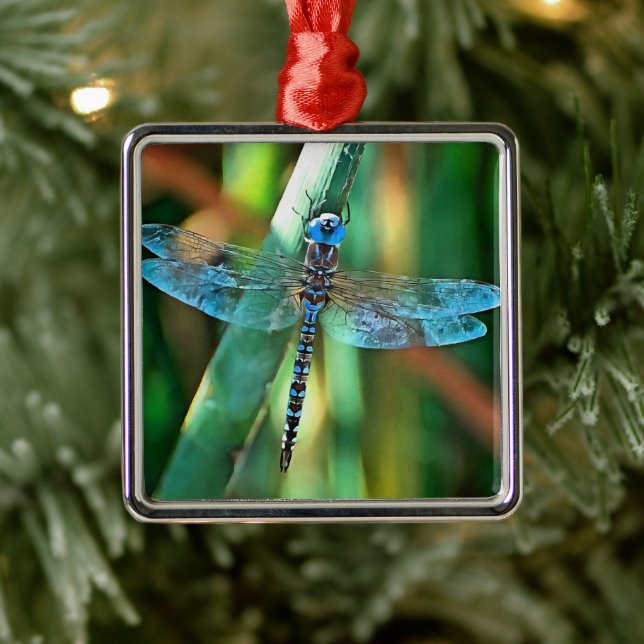 Ornement Carré Argenté Fantasy Dragonfly (Arbre)