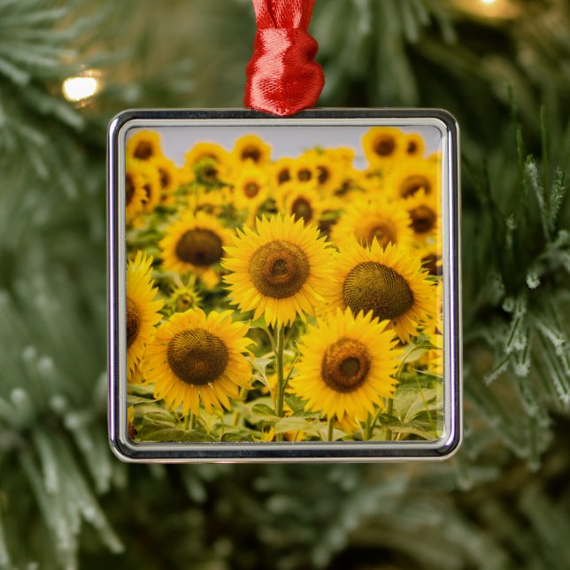 Ornement Carré Argenté Farms | A Sunflower (Arbre)