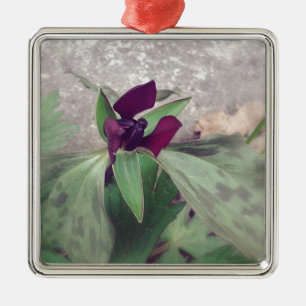 Ornement Carré Argenté Fleur sauvage florissant