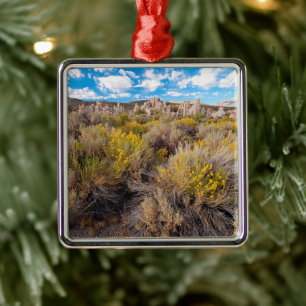 Ornement Carré Argenté Fleurs   Blooming Sagebrush Californie