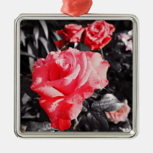 Ornement Carré Argenté Fleurs de rose romantiques #3