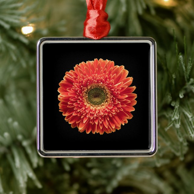 Ornement Carré Argenté Fleurs | Orange Gerbera Daisy (Arbre)