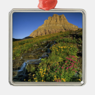 Ornement Carré Argenté Fleurs sauvages alpines & Mt Clements à Logan Pass