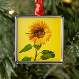 Ornement Carré Argenté Fleurs   Tournesol jaune
