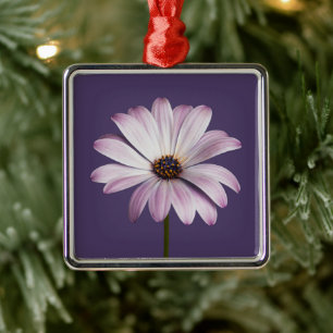 Ornement Carré Argenté Flowers   White & Purple Daisy