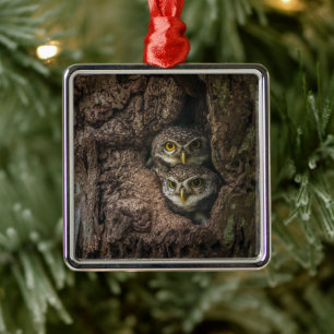 Ornement Carré Argenté Forest Deux Owls Looking