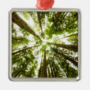 Ornement Carré Argenté Forêt tropicale verte luxuriante
