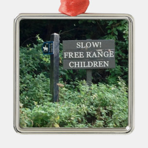 Ornement Carré Argenté Free Range Children signe, amusant