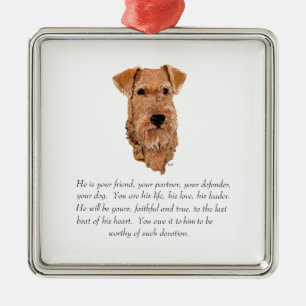 Ornement Carré Argenté Garde-mémoire Terrier Irlandais - Mâle