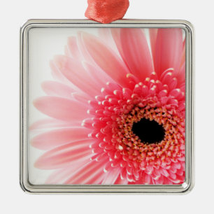 Ornement Carré Argenté Gerbera Daisy