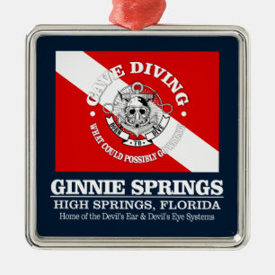Ornement Carré Argenté Ginnie Springs (meilleures grottes)