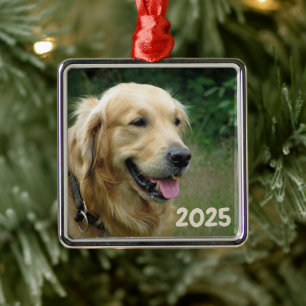 Ornement Carré Argenté Golden Retriever