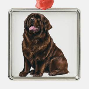 ORNEMENT CARRÉ ARGENTÉ GRAND CHIEN BROWN DE TERRE-NEUVE