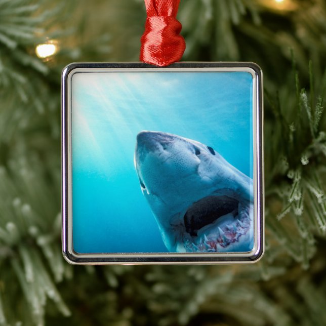 Ornement Carré Argenté Grand requin blanc | Afrique du Sud (Arbre)