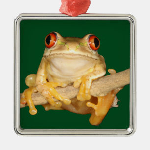 Ornement Carré Argenté Grenouille des arbres
