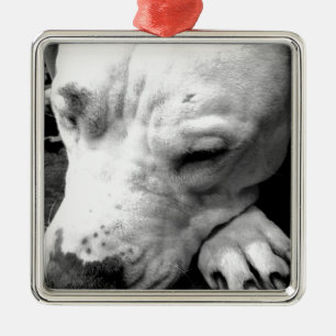 Ornement Carré Argenté harry potler scar dog white pit bull