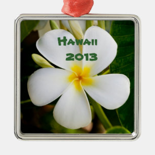 Ornement Carré Argenté Hawaii Plumeria - Gardien des fleurs