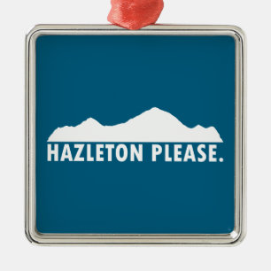 Ornement Carré Argenté Hazleton Pennsylvania S'il vous plaît
