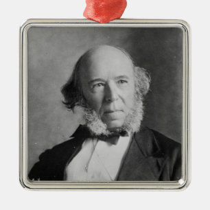 Ornement Carré Argenté Herbert Spencer