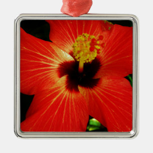 Ornement Carré Argenté Hibiscus rouge