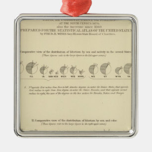 Ornement Carré Argenté Idiots, Statistical US Lithograph 1870