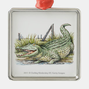 Ornement Carré Argenté Illustration d'alligator sur le rivage