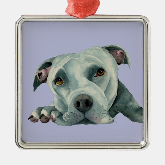 Ornement Carré Argenté Illustration douce de chien de Terrier de pitbull (Devant)