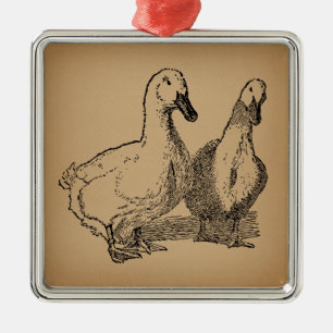 Ornement Carré Argenté Illustration vintage Duck Art Two Ducks