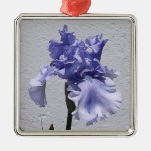 Ornement Carré Argenté Iris Bloom