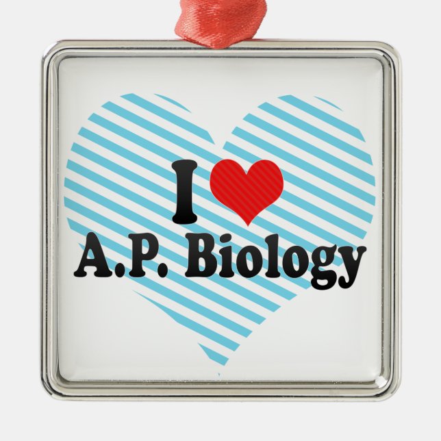 Ornement Carré Argenté J'aime A.P. Biology (Devant)
