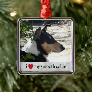 Ornement Carré Argenté J'aime ma photo Smooth Collie Noël