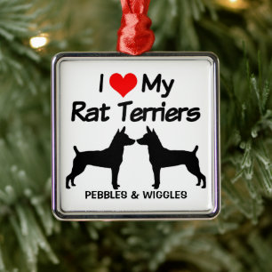 Ornement Carré Argenté J'Aime Mes Deux Chiens Rat Terrier