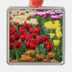 Ornement Carré Argenté Jardins de Keukenhof, Hollande, se spécialise dans