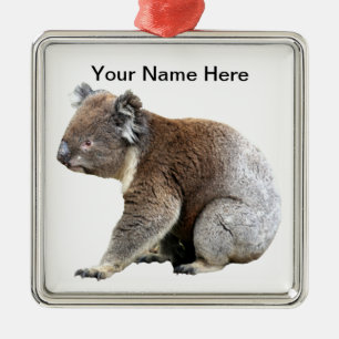 Ornement Carré Argenté Koala