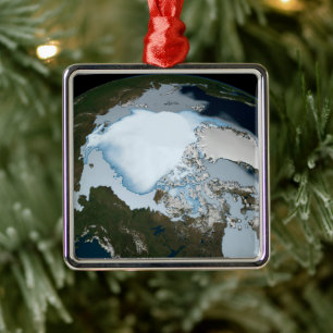 Ornement Carré Argenté La Planète Terre Montre La Couverture De Glace De 