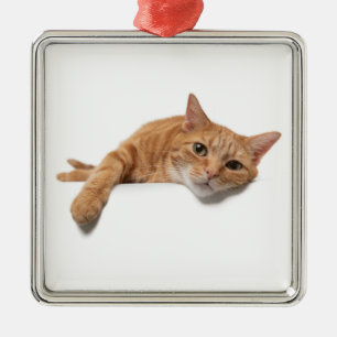 Ornement Carré Argenté Le Chat Orangé s'allonge