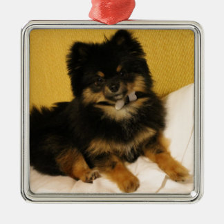 Ornement Carré Argenté Le Pomeranian le plus mignon