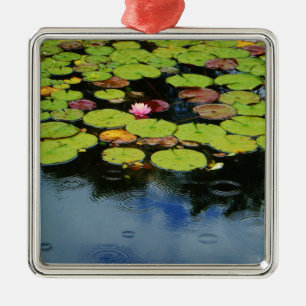 Ornement Carré Argenté Lotus rose en pluie