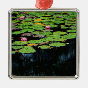 Ornement Carré Argenté lotus rose noir