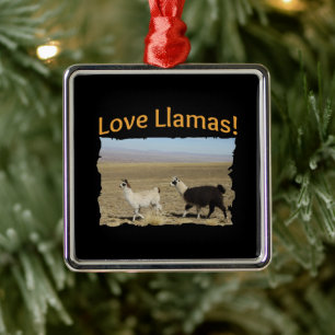 Ornement Carré Argenté Love Llamas - Les meilleurs amis
