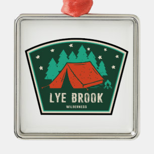 Ornement Carré Argenté Lye Brook Wilderness Vermont Camping