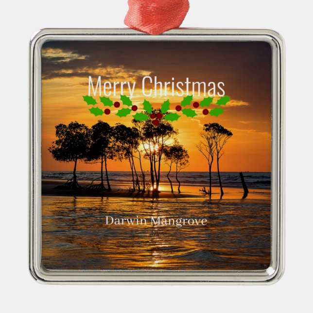 Ornement Carré Argenté Mangrove de Darwin, Joyeux Noël (Devant)