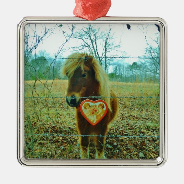 Ornement Carré Argenté Miniature cheval Brown Valentine Heart (Devant)