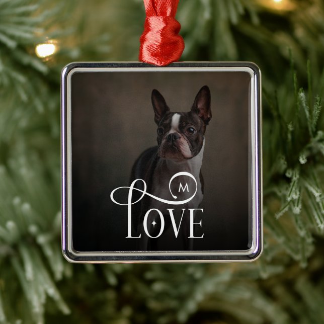 Ornement Carré Argenté Modern Love Custom Dog Pets Photo Monogram (Arbre)