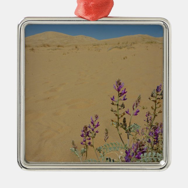 Ornement Carré Argenté Mojave Indigo Bush et Kelso Dunes (Devant)