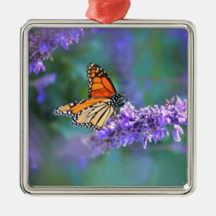 Ornement Carré Argenté Monarch Butterfly on Purple lilac Flower