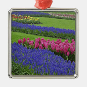 Ornement Carré Argenté Motif de jacinthe des vignes, de tulipes et de