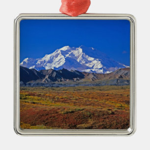 Ornement Carré Argenté Mt . McKinley Parc national de Denali , Alaska.